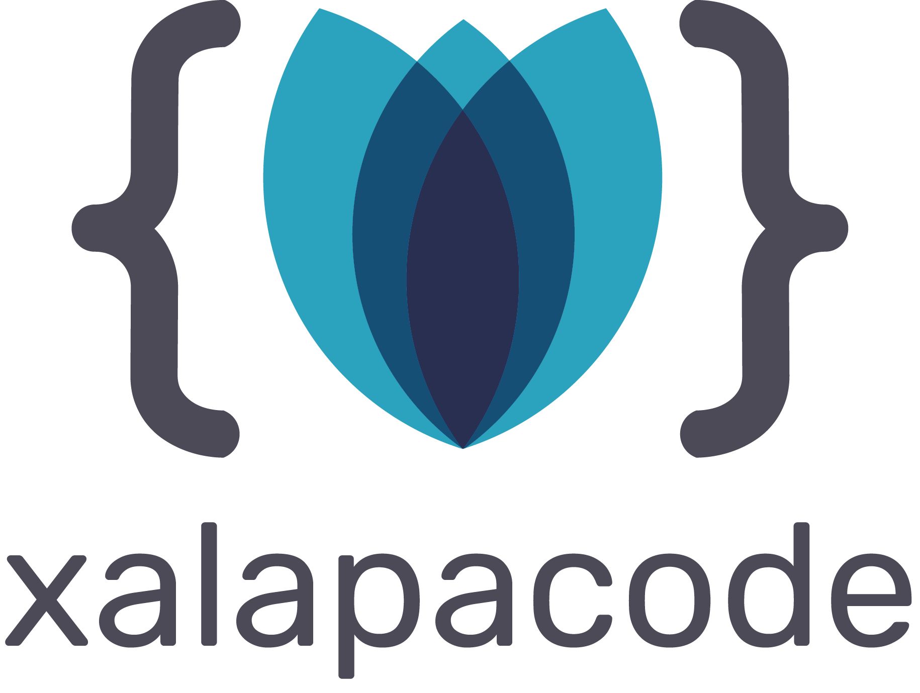 Logotipo xalapacode